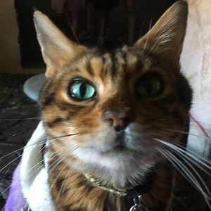 Meet your Posher, Bernadette bernie